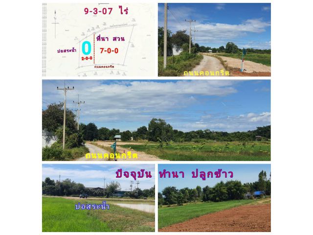 (โฉนด) แปลง 7-9 ไร่ๆละ 250,000 บ. หน้าติดถนนคอนกรีต ไฟฟ้า น้ำประปา บ่อน้ำ (ทำไร่นา สวนผสม) ม.4 ต.สระกระโจม อ.ดอนเจดีย์ จ.สุพรรณบุรี