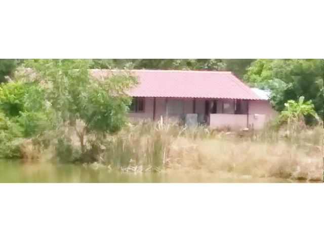 ขายบ้านเดี่ยวมือสอง อำเภอพนมสารคาม ฉะเชิงเทรา