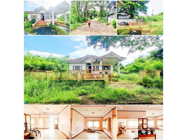 บ้านชั้นเดียวยกพื้นสูง พื้นดินสูงกว่าถนน บรรยากาศดีมาก เป็นส่วนตัว แต่ไม่เปลี่ยว ถนนกว้าง เข้า.ออกสะดวก ใกล้ถนนเลี่ยงเมื