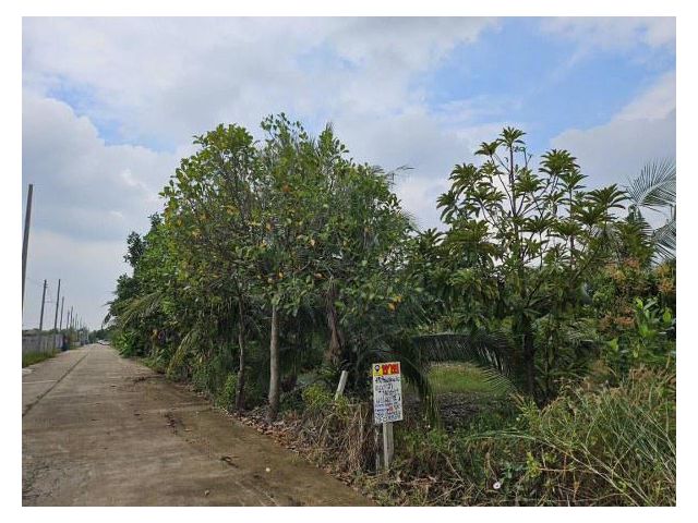 ขายที่ดินถมแล้วบางเลน (รหัสทรัพย์ 202569) ต.นราภิรมย์ อ.บางเลน จ.นครปฐม ขนาด 221 ตรว