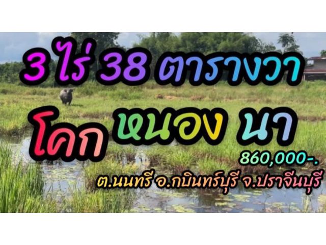 เหมาะสร้างบ้านสวนบ้านนา เนื้อที่ 3 ไร่ ยกแปลง 860000