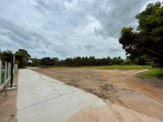 ขายที่ดินตาขัน 1 ไร่ ถมแล้ว ใกล้ตลาดสดบ้านค่าย9กม. ใกล้ถนนเส้นเชิงเนิน-ชากบก1.6กม. อ.บ้านค่าย ระยอง