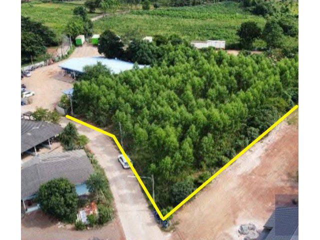 ขายที่ดินกรอกสมบูรณ์ 2 ไร่ ซอยโรงเรียนดาราวัฒนา ใกล้นิคม304-4กม. อ.ศรีมหาโพธิ ปราจีนบุรี