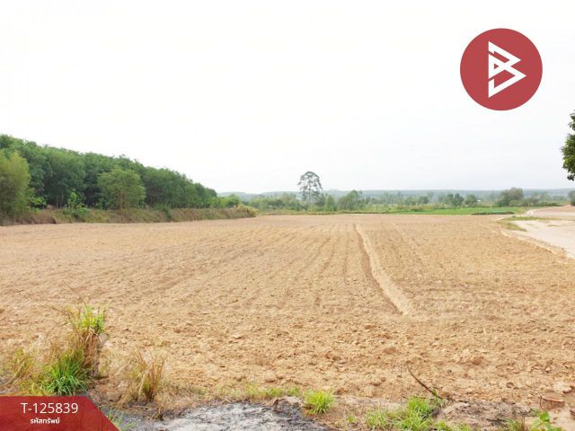 ขายที่ดิน เนื้อที่ 9 ไร่ 2 งาน 21 ตร.วา บางละมุง ชลบุรี