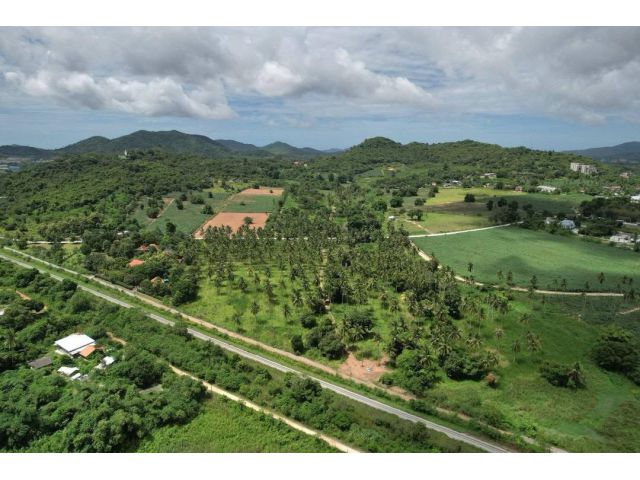 R68-062ขายที่ดิน บางเสร่ สัตหีบ  ขนาด 31 ไร่ 3 งาน 74 ตารางวา ขาย ไร่ละ 5 ล้าน ( 12,500 บาท/ ตารางวา) ราคาขายรวม 159,675,000 บาท