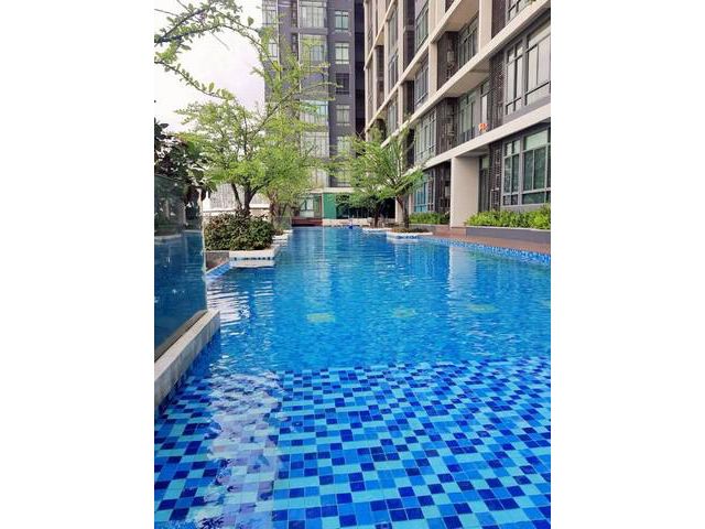 ขายหรือเช่า คอนโด Ideo Blucove Sukhumvit