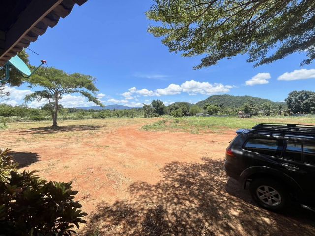 ที่ดิน 10-3-0 ไร่ หมูสี เขาใหญ่