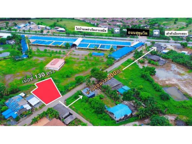 ขายที่ดินเปล่าไกล้ถนนสุขุมวิทข้ามไปเกาะเสม็ดจ.ระยองเนื้อที่130ตรว.
