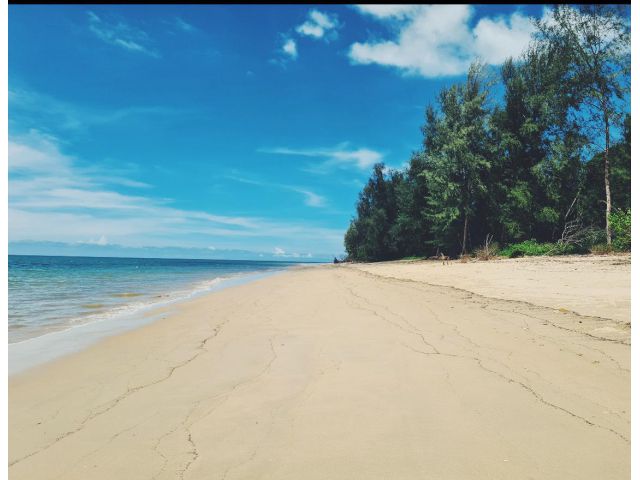 ที่ดินติดทะเลเกาะคอเขา ตะกั่วป่า พังงา เนื้อที่ 47-0-27 ไร่