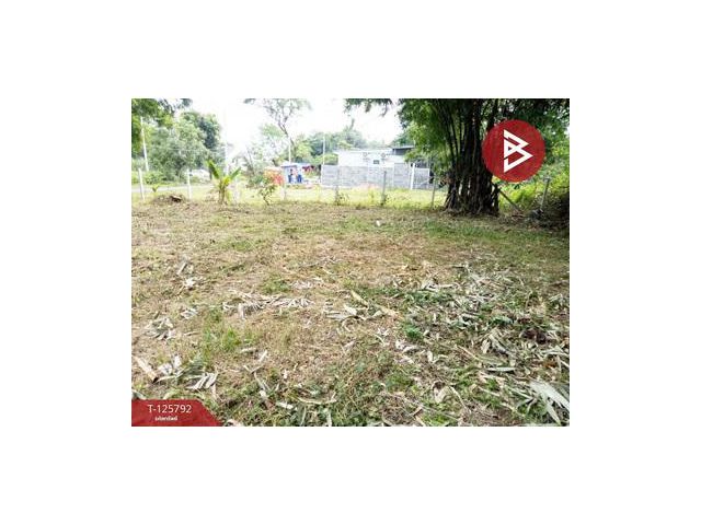 ขายที่ดิน เนื้อที่ 1 งาน 2.0 ตารางวา สาริกา นครนายก