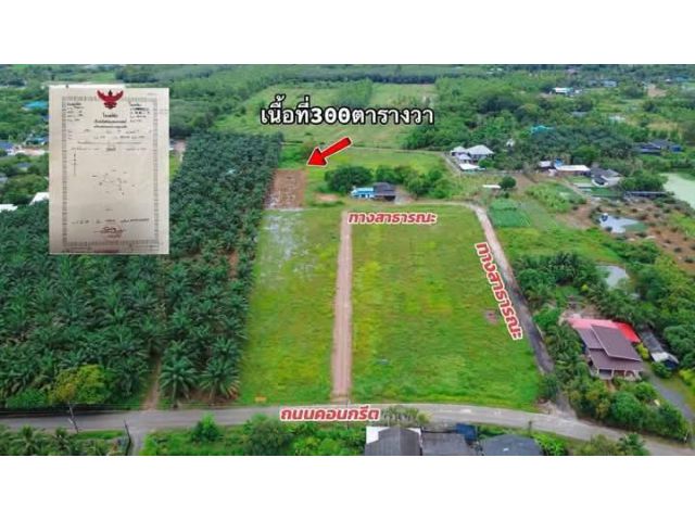 ขายที่ดินเปล่าไกล้ถนนสุขุมวิทต.ตะพงจ.ระยองเนื้อที่300ตรว.