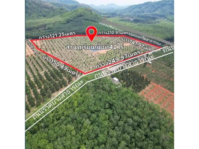 ขายที่ดินพร้อมสวนทุเรียนอายุ2ปีต.กะเฉดจ.ระยองเนื้อที่42ไร่