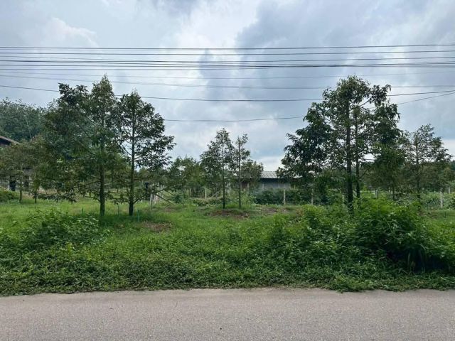 ขายสวนทุเรียนติดถนนชุมชนห้วยยางอ.แกลงจ.ระยองเนื้อที่1ไร่2งาน51ตรว.