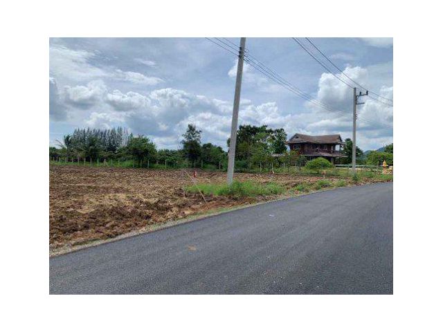 ขายที่ดิน 11 ไร่ ใกล้เขาใหญ่ ติดถนนคลองสมบูรณ์ ต.คลองม่วง อ.ปากช่อง จ.นครราชสีมา