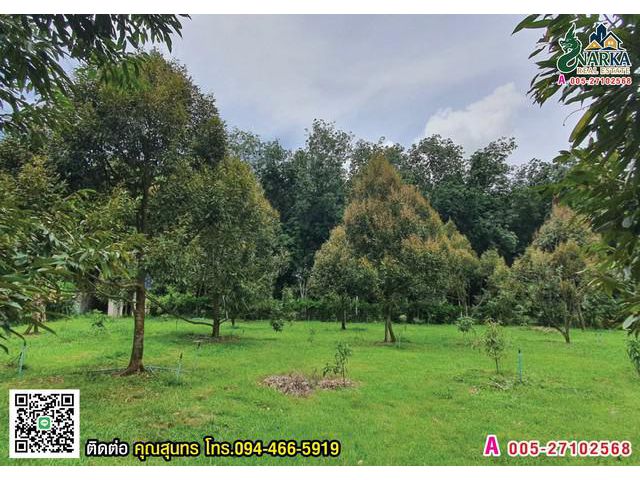 ขายที่ดิน 8 ไร่ ดอนเค็จ กาญจนดิษฐ์ สุราษฎร์ธานี