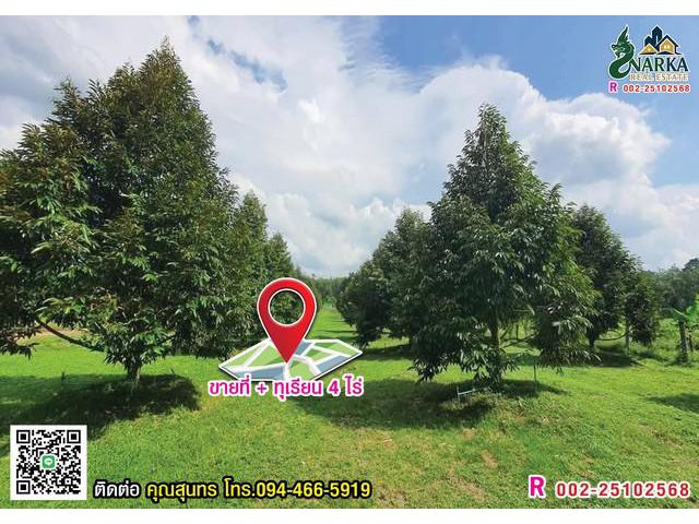 ขายสวนทุเรียน 4 ไร่ ต.ช้างซ้าย อ.กาญจนดิษฐ์ จ.สุราษฎร์ธานี