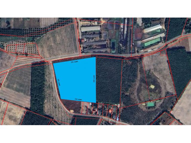 ขายที่ดิน 20 ไร่ ต.โคกปี่ฆ้อง อ.เมืองสระแก้ว จ.สระแก้ว