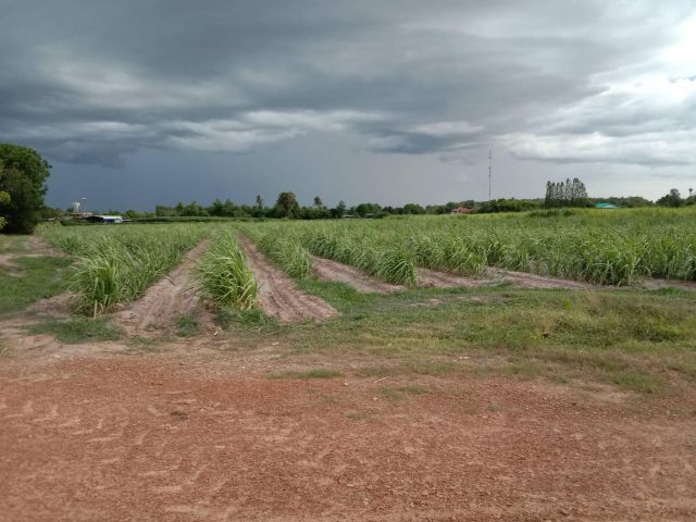 L890 ขายที่ดิน 9 ไร่ บ้านโป่ง ราชบุรี