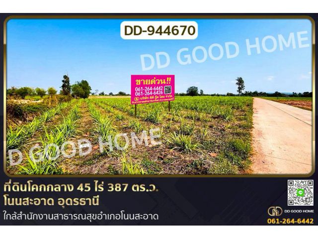 DD-944670 ที่ดินโคกกลาง 45 ไร่ 387 ตร.ว. โนนสะอาด อุดรธานี ใกล้สำนักงานสาธารณสุขอำเภอโนนสะอาด