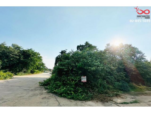 ขายที่ดิน ถนน347 ปทุมธานี-บางปะหัน 173ตรว. บ้านใหม่ อยุธยา