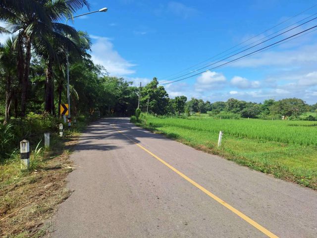 ขายที่ดินทำเลดีติดถนน อ.แม่ออน 6 ไร่กว่า ราคาถูก ตรว.3,000 เท่านั้น ปลูกบ้านทำโฮมสเตย์ได้ เดินทางสะดวก น้ำไม่ท่วมบ้าน