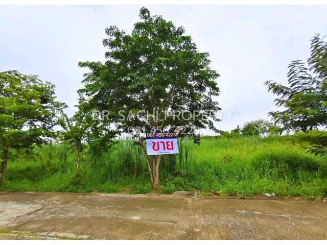 ขายที่ดิน 3 งาน 20 ตรว. บางบัวทอง (บ้านกล้วย-ไทรน้อย) ใกล้ เซ็นทรัล เวสต์เกต