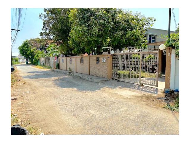 บ้านเดี่ยวชั้นเดียว 79 ตรว.ย่านนวมินทร์ มีบริเวณบ้านปลูกต้นไม้ได้ ใกล้รถไฟฟ้า ใกล้ทางด่วน