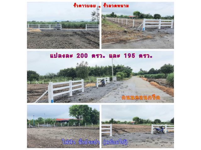 (โฉนด) แบ่ง 195-200 ตรว. (พร้อมรััวคาวบอย,รั้วลวดหนาม 4 ด้าน) ติดถนนคอนกรีต ไฟฟ้า น้ำประปา (พร้อมใช้) ต.พลับพลาไชย อ.อู่ทอง จ.สุพรรณบุรี