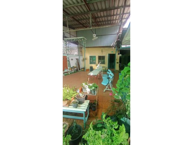 ขายถูกมาก!! บ้านพร้อมที่ดิน 181 ตารางวา บนทำเลทอง ใจกลางอำเภอปากช่อง โคราช ใกล้ตลาดไนท์ บิ๊กซี  โลตัสฯ