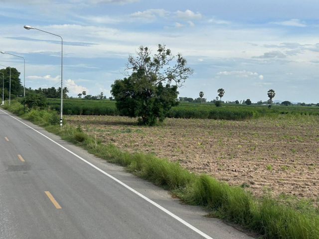 ขายที่ดิน 23 ไร่ ไร่ละ350,000 ต.เขากะลา อ.พยุหะคีรี ติดถนนลาดยางไฟสว่าง