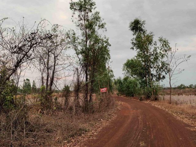 ขายถูกมาก!! ที่ดินทำเลทอง 3 ไร่ 2 งาน อ.เมือง จ.อุดรธานี ตรงข้ามราชภัฏสามพร้าว สนามกีฬาจังหวัด ใกล้สนามกอล์ฟ