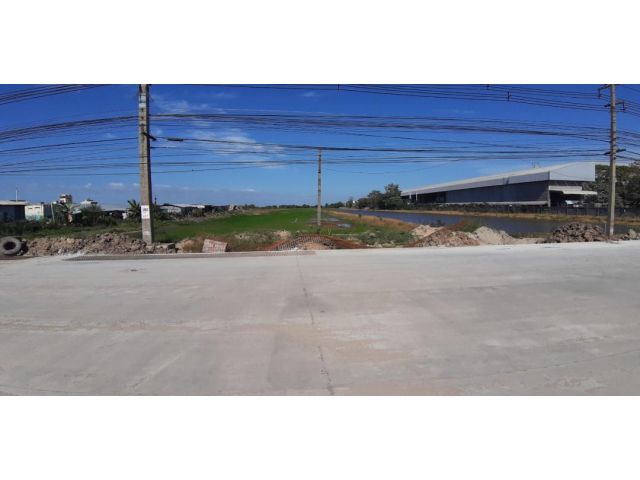 ขายถูก ที่ดิน 61 ไร่ 2 งาน 3 วา ติดถนนสุวินทวงศ์ กว้าง 90 ม. ตรงข้ามตลาดปองพล ตำบลนครเนื่องเขต อำเภอเมือง ฉะเชิงเทรา