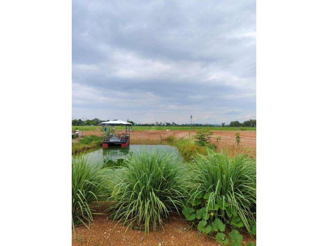 ขายที่ดินเปล่าถมแล้ว 1 ไร่ โฉนดครุตแดง 1.5 ล้านบาท ตำบลเวียงเหนือ อำเภอเวียงชัย เชียงราย เจ้าของขายเอง