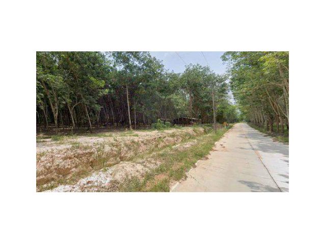 ขายที่ดิน 200 ไร่ ผังสีม่วง ติดนิคมอุตสาหกรรม ต.ยายจั่น อ.เมืองระยอง จ.ระยอง