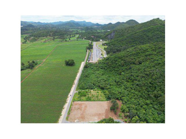 ขายที่ดิน 2 ไร่ เขาใหญ่ ถนนธนะรัชต์ หน้าติดถนน-หลังติดเขา ต.หนองน้ำแดง อ.ปากช่อง จ.นครราชสีมา