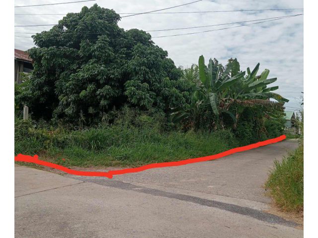 ขายที่ดินเปล่า