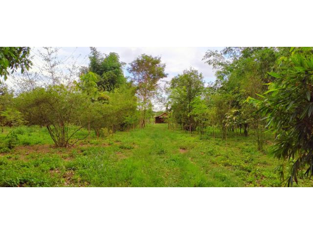 L893 ขายที่ดินถมแล้ว 4 ไร่ แหลมงอบ ตราด