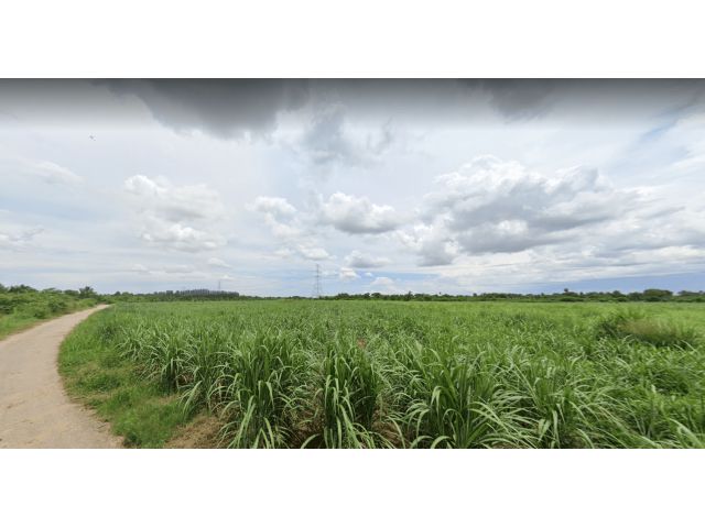 L894 ขายที่ดินสวยทำเลดี 5 ไร่ เมืองราชบุรี