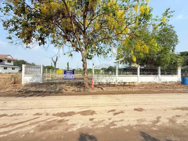 ขายด่วนที่ดินซอยโรงพยาบาลลาดหลุมแก้ว 200 ตรว ติดถนนลาดยางสาธารณะ ถมแล้ว ถ.เทศบาล 2 จ.ปทุมธานี