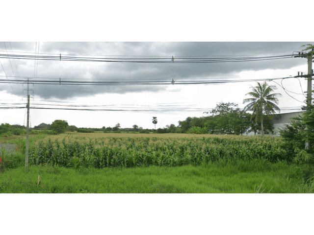 L899 ขายที่ดินสวยทำเลดี 10 ไร่ ปากช่อง นครราชสีมา