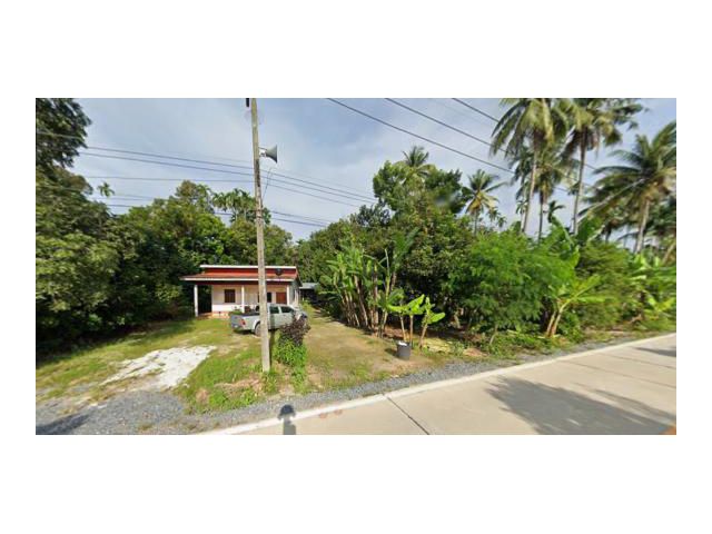 ขายที่ดินพร้อมบ้าน(มือสอง) และสวน เนื้อที่กว่า 3 ไร่ ฉโนดครุฑแดง ทำเลดี 900 เมตร จากตลาด