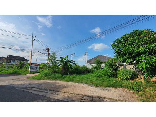 ขายที่ดินเปล่าใจกลางเมือง สุราษฎร์ธานี