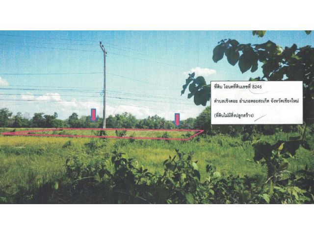 ที่ดินเชียงใหม่–ดอยสะเก็ด ติดถนนใหญ่ ( ทล.118)