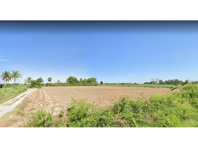 L901 ขายที่ดินใกล้เทศบาลตลาดเขต 9 ไร่ สองพี่น้อง สุพรรณบุรี