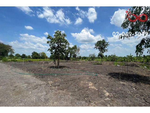 ขายที่ดิน 1 ไร่ ถนนเลียบคลอง 12 หนองเสือ ปทุมธานี