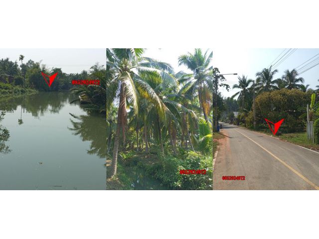 เนื้อที่ 2 ไร่ 2 งาน 20 ตรว. ติดคลองใหญ่ ใกล้อัมพวา ราคาดี ติดลาดยาง