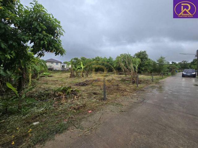 ขายที่ดินแบ่งขาย ใกล้วัดหลวงพ่อโสธร 100 ตารางวา เมืองฉะเชิงเทรา