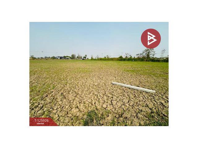 ขายที่ดิน เนื้อที่ 4 ไร่ 63 ตร.วา สองพี่น้อง สุพรรณบุรี