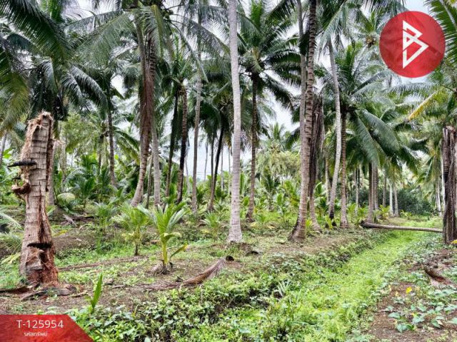 ขายที่ดิน เนื้อที่ 3 ไร่ 61.2 ตารางวา อัมพวา สมุทรสงคราม