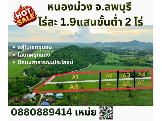 ที่ดิน หนองม่วง จ. ลพบุรี ไร่ละ 1.9 แสน